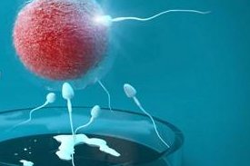 辽宁大连正规的助孕机构都有哪些？