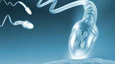 陕西医院三代试管婴儿费用与成功率解析